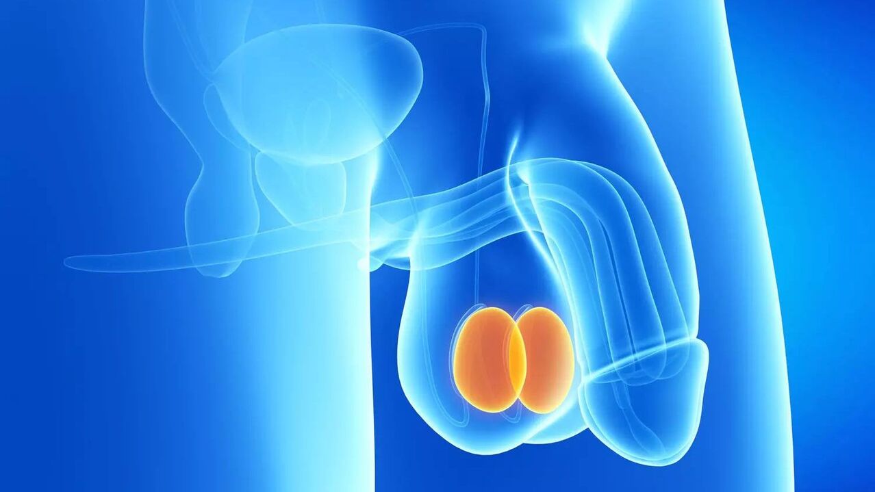 Penis enlargement surgery cost